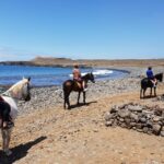 Tenerife South: Private Horseback Riding to the Coast - The Practicalities and What to Expect
