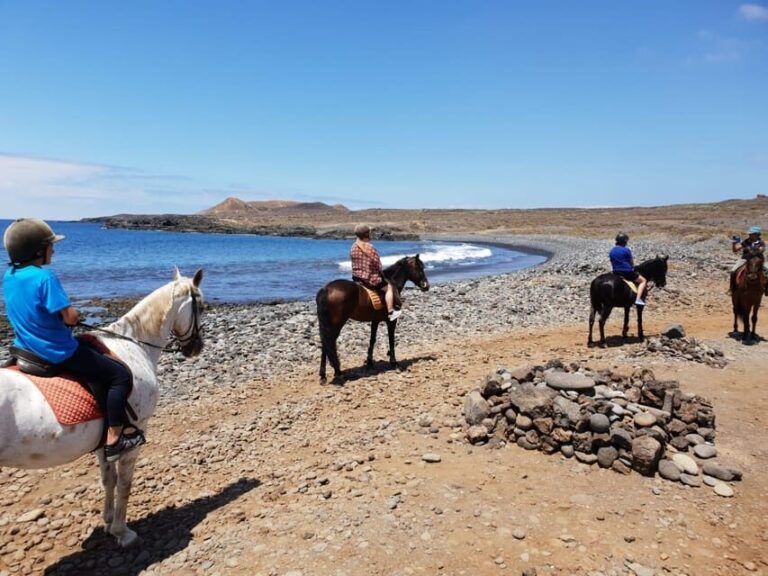 Tenerife South: Private Horseback Riding to the Coast - The Practicalities and What to Expect