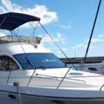 Tenerife south: safari with luxury boat , animals encounters - Why Choose This Experience?
