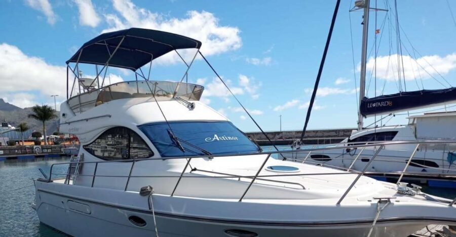 Tenerife south: safari with luxury boat , animals encounters - Why Choose This Experience?