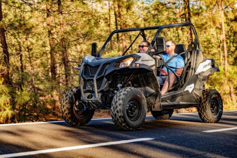 Tenerife: Teide Mountain Buggy On-Road GuidedTour with drink - Practical Tips for Your Tour