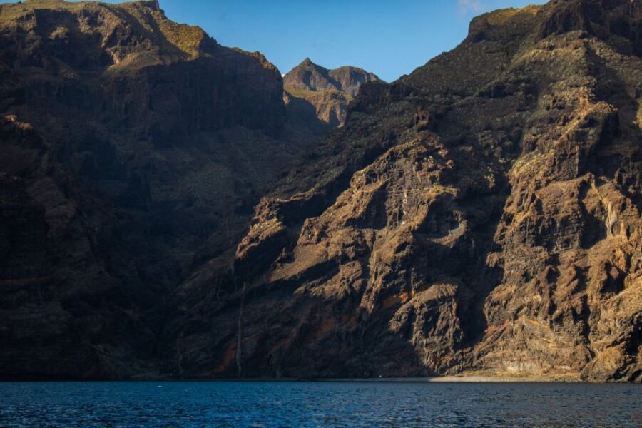 Tenerife: Teide National Park and Dolphins Sailboat Tour - Final Thoughts: Is It Worth It?