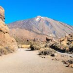 Tenerife: Teide National Park Full-Day Tour with Pickup - Transportation and Group Dynamics