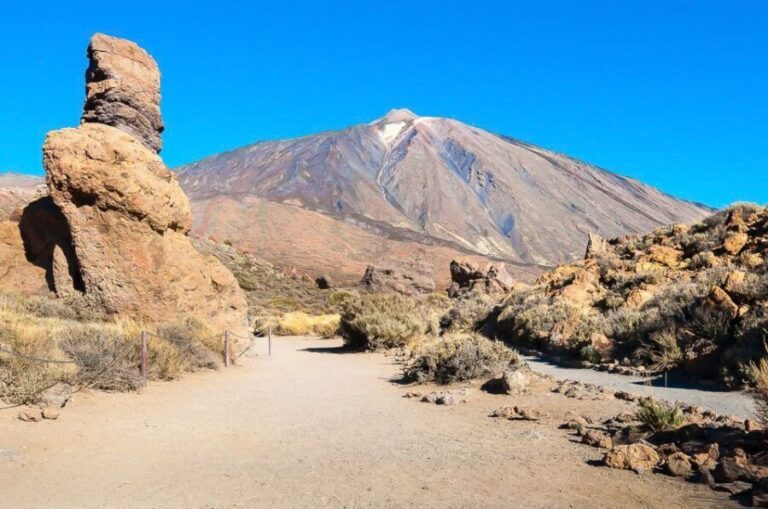 Tenerife: Teide National Park Full-Day Tour with Pickup - Transportation and Group Dynamics