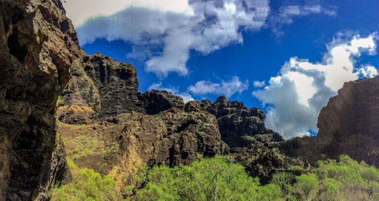 Tenerife: Teide National Park & Teno Rural Park Private Tour - A Deep Dive into the Experience