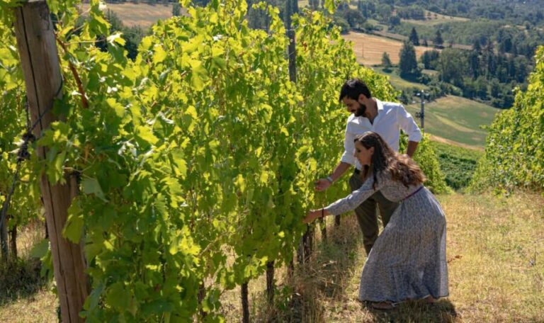 Tenuta Bonzara - Tour and wine tasting in the hills of Bologna - Exploring the Experience at Tenuta Bonzara