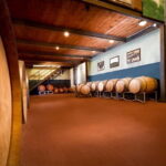 Tenuta San Vito: Organic Wine Tasting with Tuscan Cold Cuts - FAQ