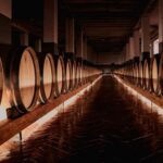Tenute Girolamo: Winery tour and Premium Tasting in the Itria Valley - The Practical Details