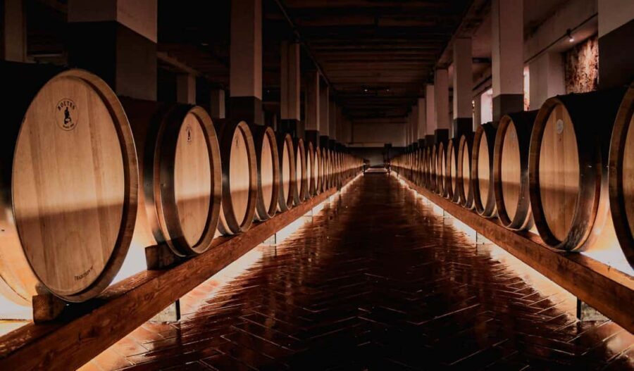Tenute Girolamo: Winery tour and Premium Tasting in the Itria Valley - The Practical Details
