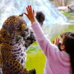 Teotihuacan: Entrance to Animal Kingdom Park; Adventure & Nature - Frequently Asked Questions