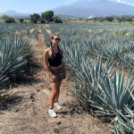 Tequila and Cantaritos Tour from Guadalajara - What the Tour Includes and What It Doesn’t