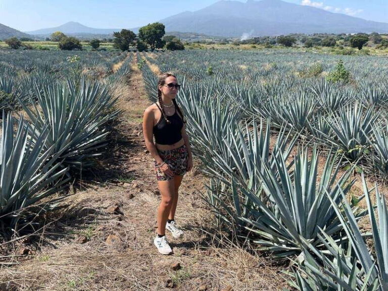 Tequila and Cantaritos Tour from Guadalajara - What the Tour Includes and What It Doesn’t