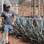 Tequila Day Trip - The Sum Up