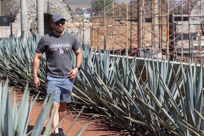 Tequila Day Trip - The Sum Up