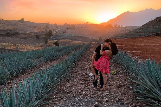 Tequila tour with tasting. - Who Will Enjoy This Tour Most?