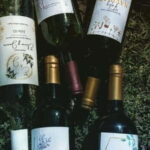 Tequisquiapan: UTV Adventure with Winery and Cheese Tasting - Who Is This Tour Best For?