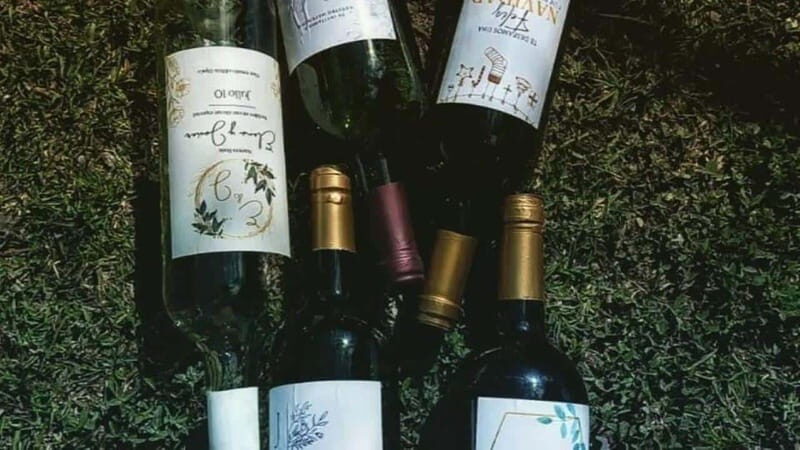 Tequisquiapan: UTV Adventure with Winery and Cheese Tasting - Who Is This Tour Best For?