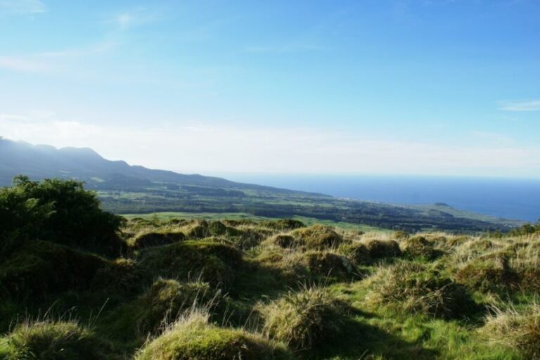Terceira Island: 4x4 Land Rover Tour with Traditional Lunch - Authenticity and Value