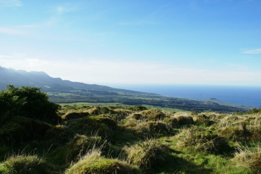 Terceira Island: 4x4 Land Rover Tour with Traditional Lunch - Authenticity and Value