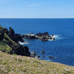 Terceira Island : Electric Bike Tour West Side - The Sum Up