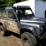 Terceira Island: Full-Day Mud Adventure & Traditional Lunch - The Culinary Experience: Traditional Food and Portuguese Wine