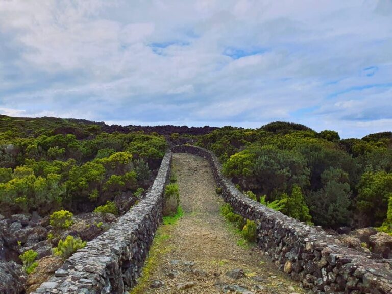 Terceira Island Half Day Hiking Trail: Baías da Agualva - Why This Hike Offers Real Value