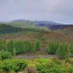 Terceira Island Half Day Hiking Trail: Mistérios Negros - An In-Depth Look at the Mystérios Negros Trail