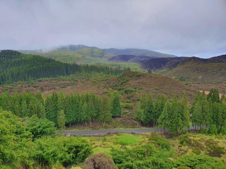 Terceira Island Half Day Hiking Trail: Mistérios Negros - An In-Depth Look at the Mystérios Negros Trail