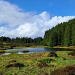 Terceira Island: Highlights Tour with Traditional Lunch - Monte Brasil and Its Views