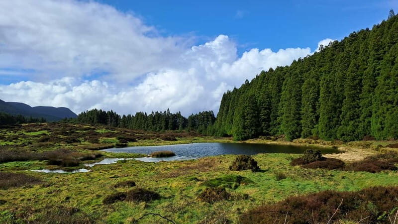 Terceira Island: Highlights Tour with Traditional Lunch - Monte Brasil and Its Views