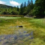 Terceira Island: Mistérios Negros Hiking - In-Depth Look at the Mistérios Negros Hiking Experience