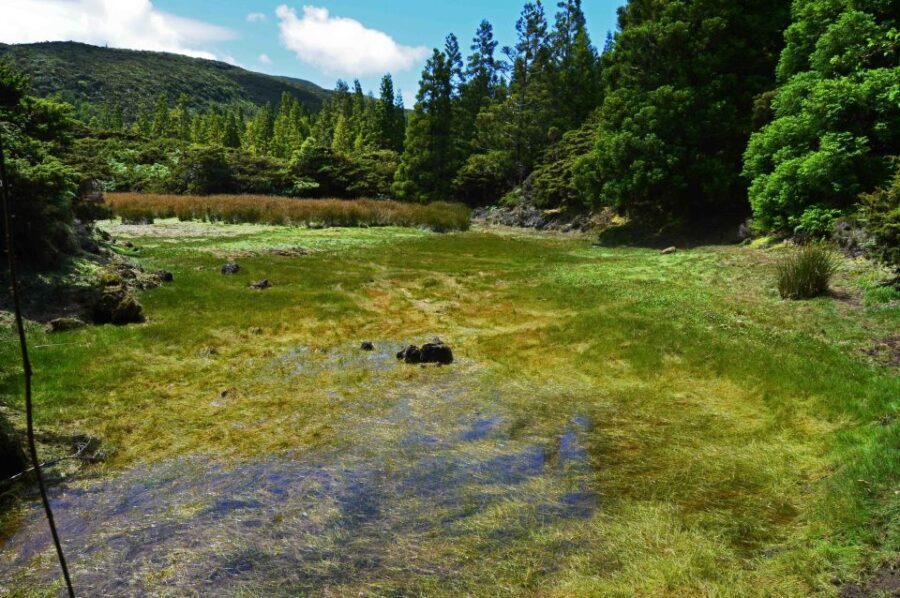 Terceira Island: Mistérios Negros Hiking - In-Depth Look at the Mistérios Negros Hiking Experience