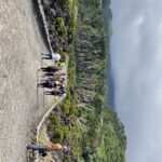 Terceira Island Scenic Hiking Trails Tour (Shared Tour) - An In-Depth Look at the Tour Experience