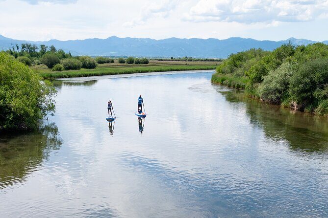 Teton River Paddleboard Adventure - 4.5 Miles - The Sum Up