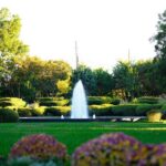 Texas Discovery Gardens General Admission - An In-Depth Look at Texas Discovery Gardens in Dallas