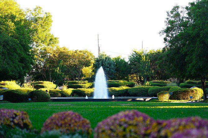 Texas Discovery Gardens General Admission - An In-Depth Look at Texas Discovery Gardens in Dallas
