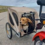 Texel: E-Scooter Rental - A Detailed Breakdown of the Texel E-Scooter Experience