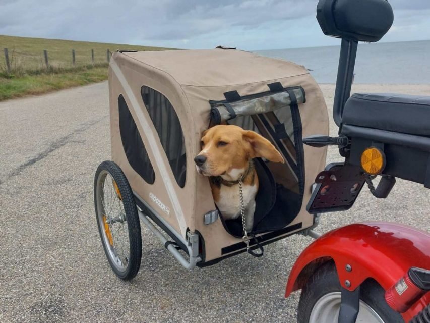 Texel: E-Scooter Rental - A Detailed Breakdown of the Texel E-Scooter Experience