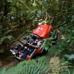 The Adrenaline Overdose at Off Road NZ - A Deep Dive into the Off Road NZ Experience