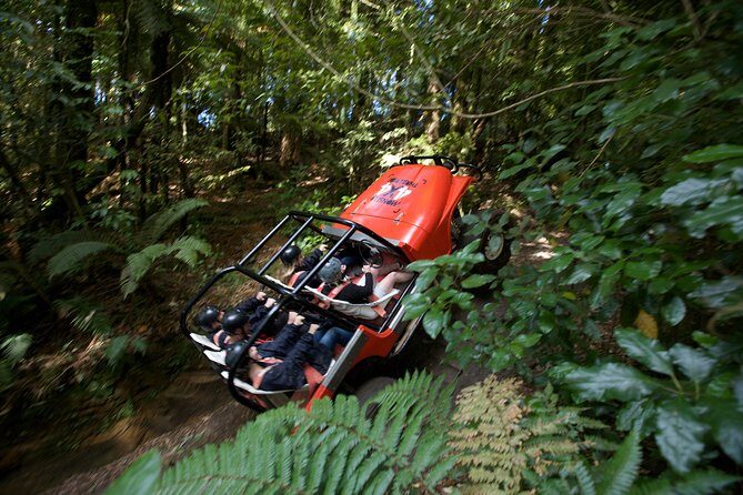 The Adrenaline Overdose at Off Road NZ - A Deep Dive into the Off Road NZ Experience