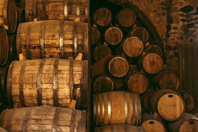 The Agave Experience Tequila Tour in Jalisco - Final Thoughts