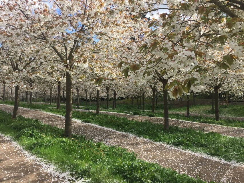 The Alnwick Garden: Entry Ticket - A Practical Look at The Alnwick Garden