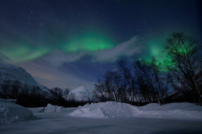 The Aurora Tour - VIP trip for northern lights, aurora borealis - A Detailed Look at the Aurora Tour in Tromsø