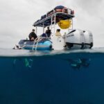 The Best 2.5 Hour Molokini Snorkel Tour & Whale Watch - Exploring the Maui Snorkel & Whale Watch Experience in Detail