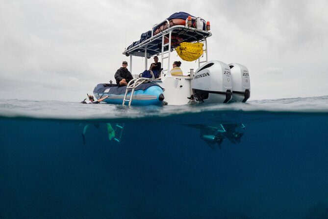 The Best 2.5 Hour Molokini Snorkel Tour & Whale Watch - Exploring the Maui Snorkel & Whale Watch Experience in Detail