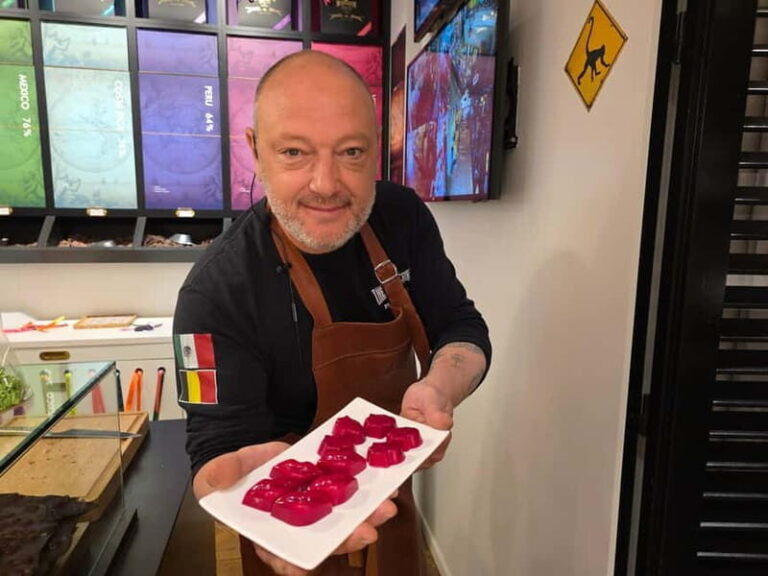 Thé best chocolate in Bruges! Private tour! - What Makes This Tour Stand Out?