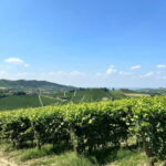 The Best of the Langhe: Wine Tasting & Traditional Meal - Exploring the Heart of Piedmont: What You Can Expect