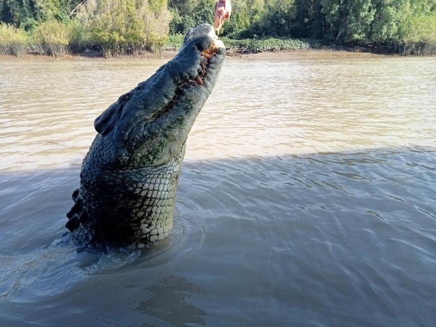 The best tour of Litchfield and crocodiles on the river - In-Depth Review of the Tour Experience