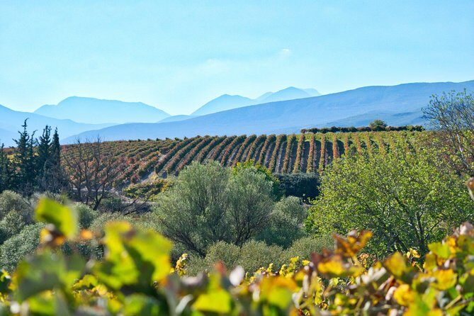 The Best Winery & Tasting Tour in Nemea.Enjoy a unique all day wine tasting tour - Final Thoughts
