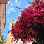 The Coastal Path hike from Nice to Villefranche - A Detailed Look at the Coastal Path Hike from Nice to Villefranche